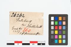 Etikett zu Eisenmesser (NHMW-PRAE-026262)